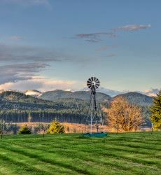 Farm Windmill