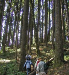 Hikers on Wind Mountain