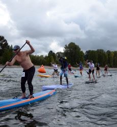 A Group Racing on Paddleboards