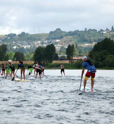 The Back of a Group Racing on Paddleboards