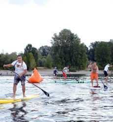 Group of Men Racing on Paddleboards