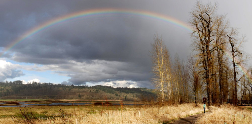 Steigerwald National Wildlife Refuge