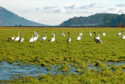 Franz Lake National Wildlife Refuge